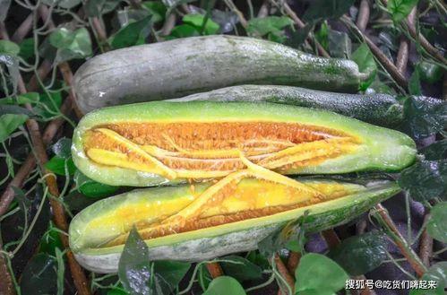 西藏网红吃瓜入口,入口瞬间引发全网热议! 第1张 西藏网红吃瓜入口,入口瞬间引发全网热议! 第1张