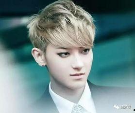 爆料娱乐圈侯明昊,揭秘明星背后的故事 第2张 爆料娱乐圈侯明昊,揭秘明星背后的故事 第2张